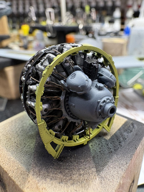 IMG 5508.jpg