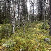 IMG 4791