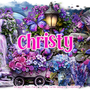 Christy 5068B