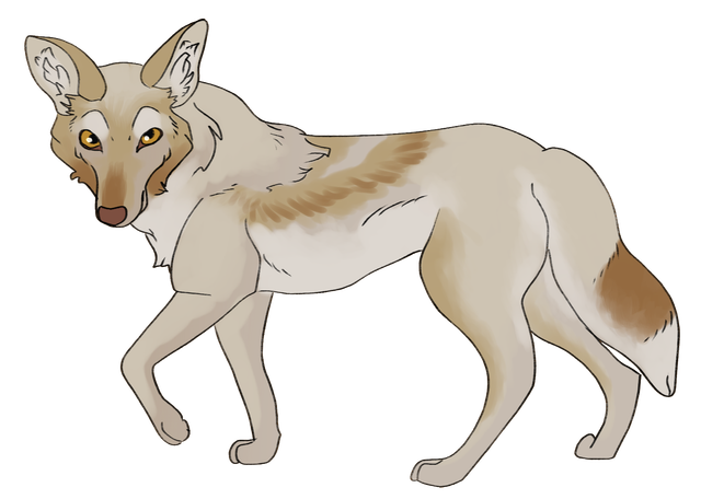 yote-1