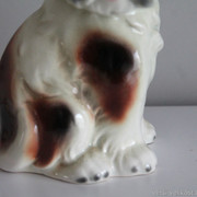 IMG-2829