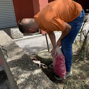 IMG-4381