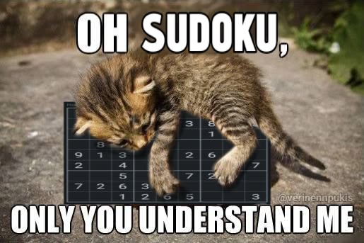 sudoku understands me