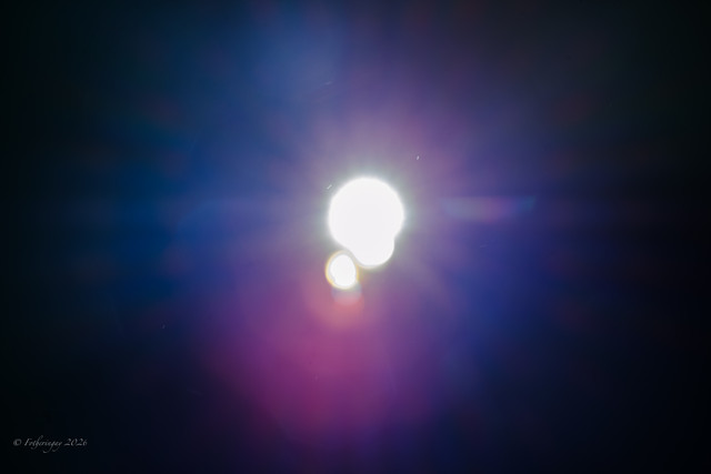 DSF6641.jpg