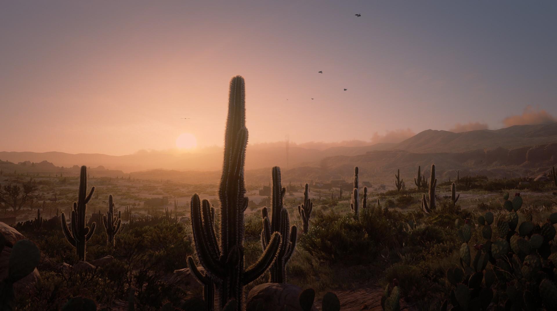 RDR2_ChollaSprings_NewAustin_JohnM-3800-1080.jpg