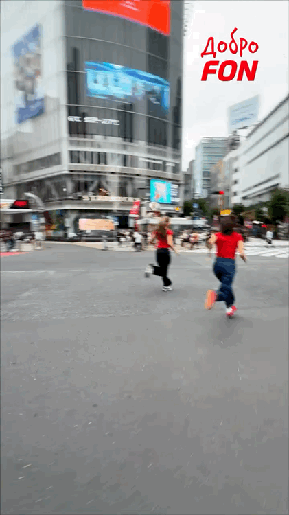 https://i.ibb.co/G3NxDc14/IMG-3003.gif