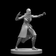 Bandit Deceiver Female
