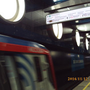 031