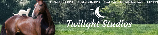 Twilightstudiosbanner-0
