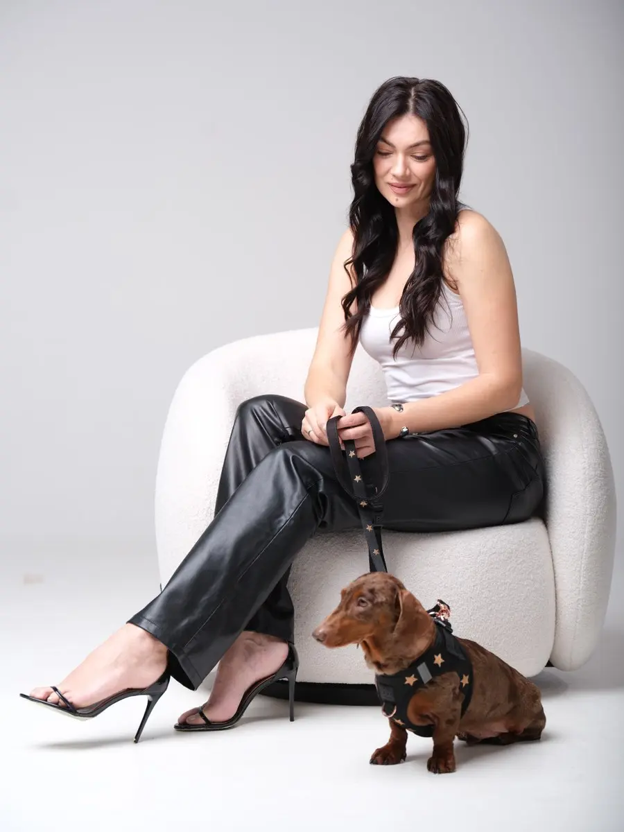 Top Dog Leashes for Urban Environments Revealed
