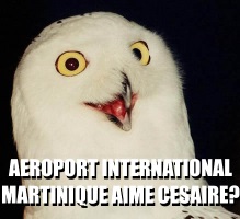 https://i.ibb.co/G3X2pX1/orly-Small.jpg