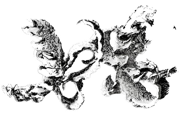 IMG-3643