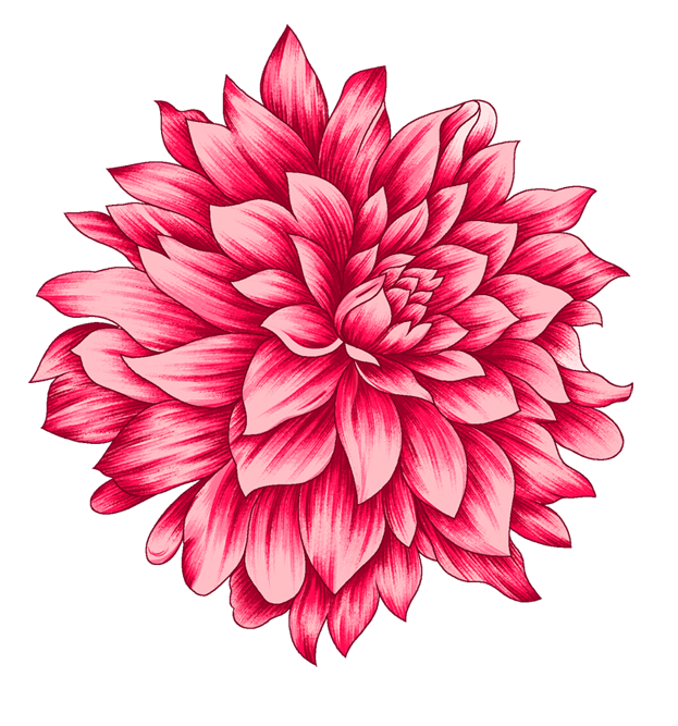 5c21d27d2ecb307f942add81a1ee161e.png