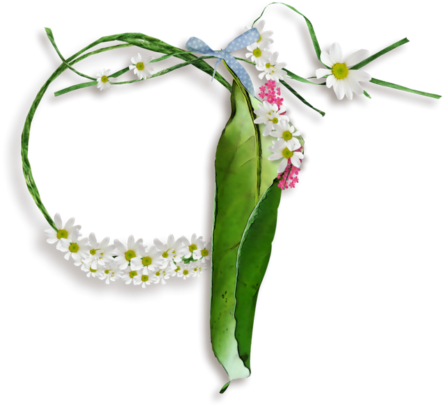 cluster-frame-46