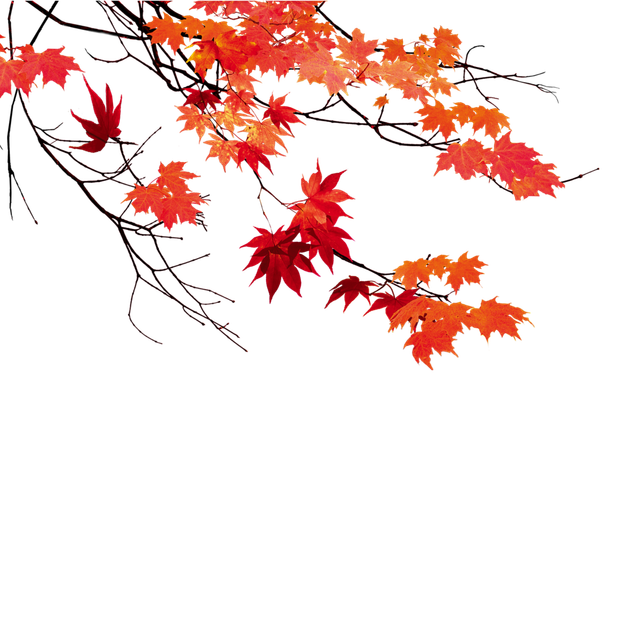 306520132186211.png