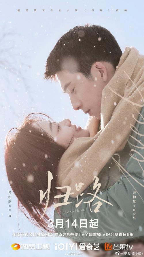 Road Home [C-Drama] (2023)