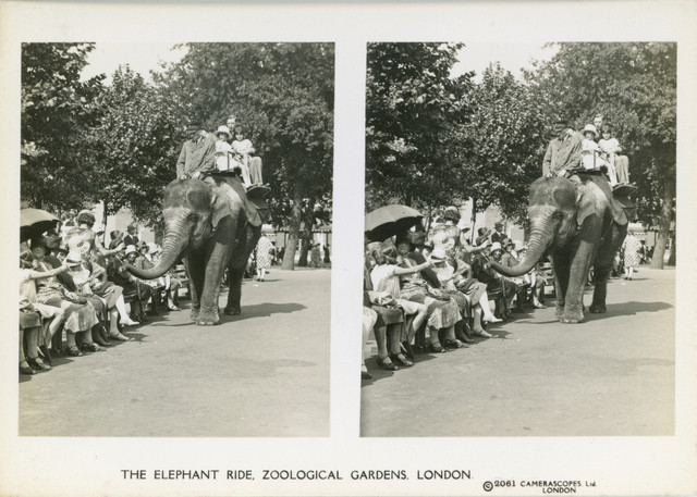 11 Elephant Ride.jpg
