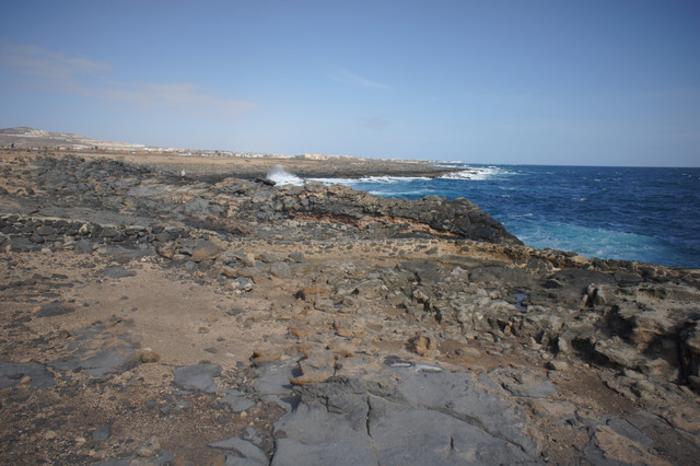 DSC00981