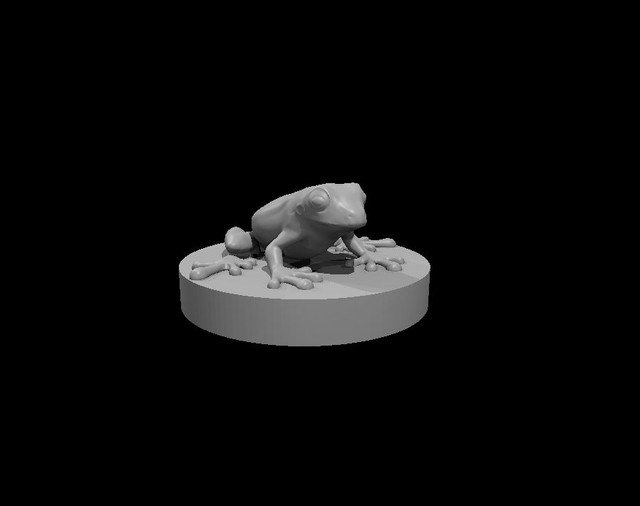 Frog.jpg