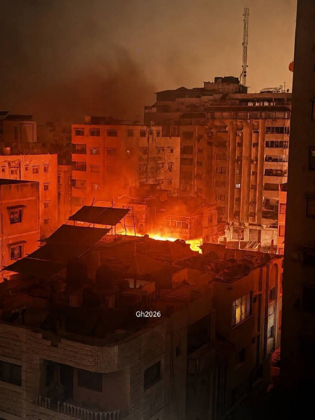 صورة إضافية