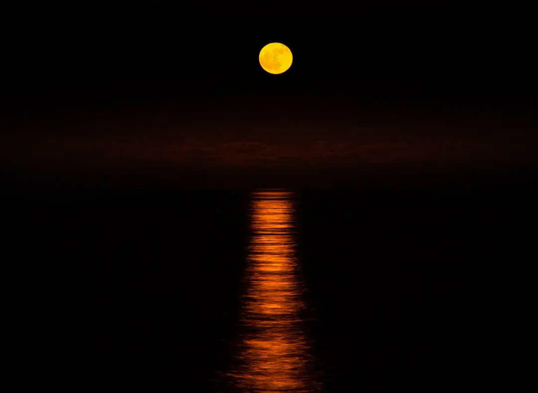 New Moon in the 1st House: A Chance for Transformation