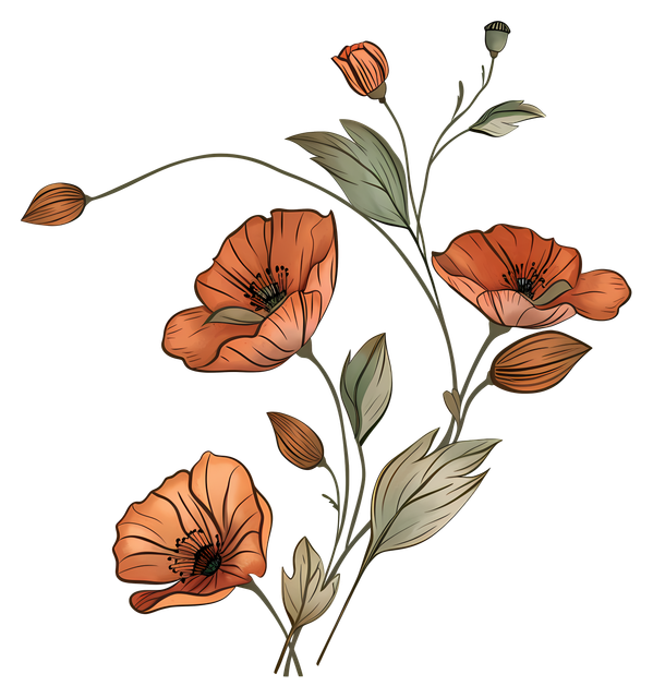 f031abeed7777f37b16500f5bf088e96.png