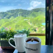 Cameron Valley17