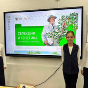 5226945366849162946-1