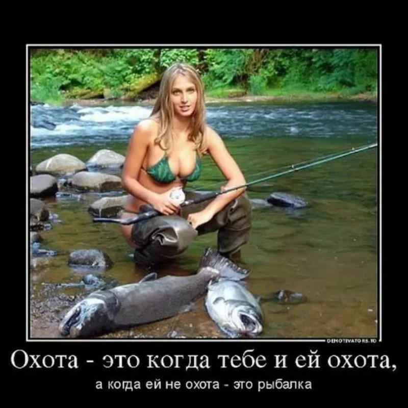 https://i.ibb.co/G439zD3s/IMG-5281.webp
