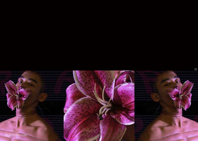64.jpg
