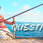 questions-20