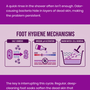 1780478413