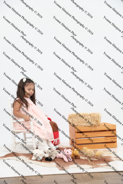 IMG 0963