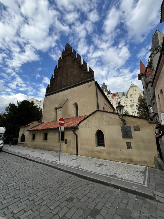 comp IMG 6942.jpg
