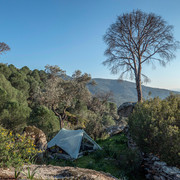 P1040671 (2)
