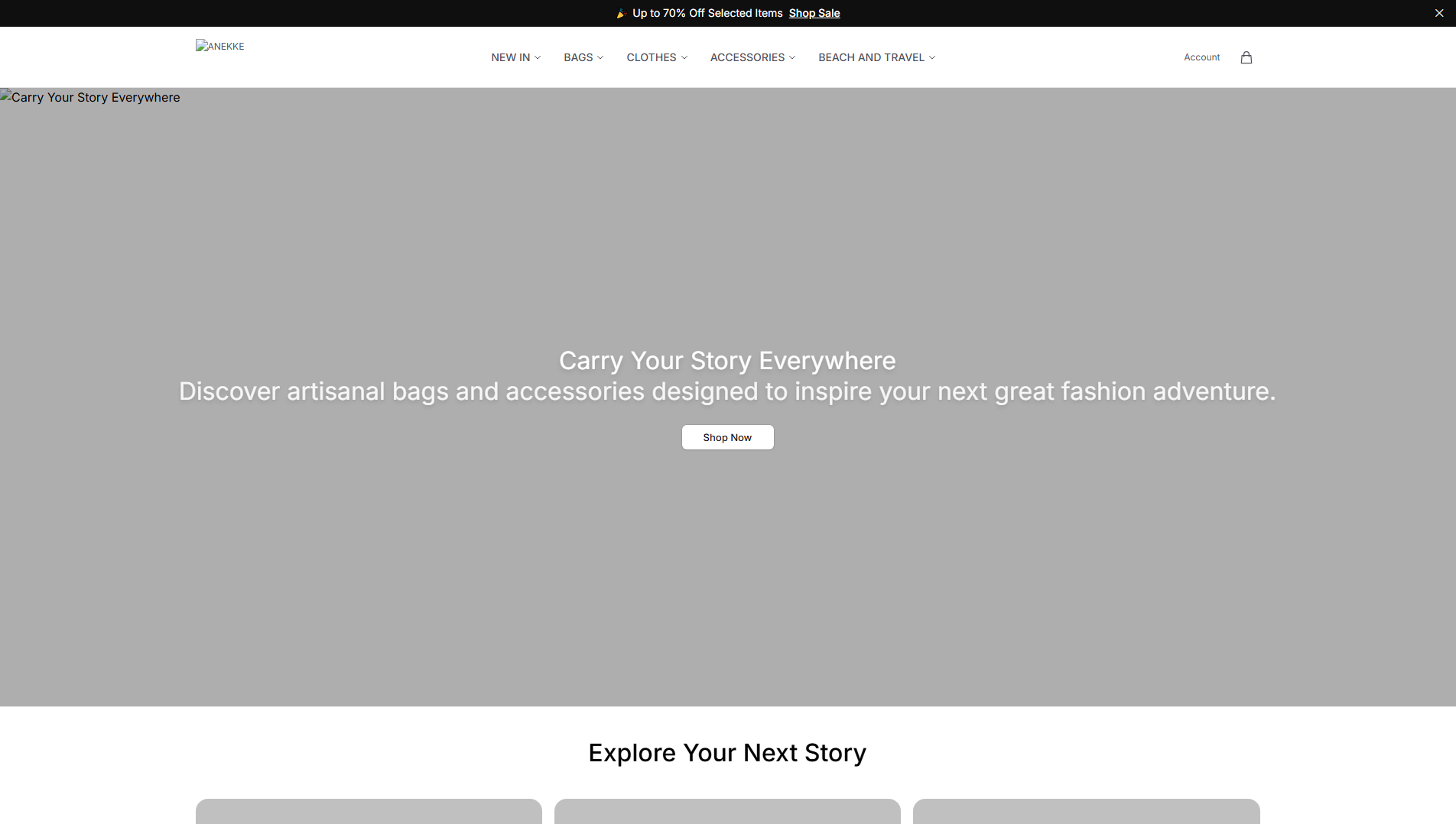 Stored capture of anekkeexclusive.shop