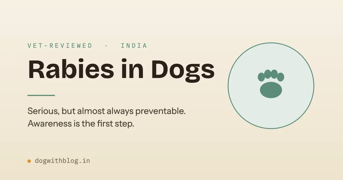 Rabies in Dogs: Symptoms and Stages