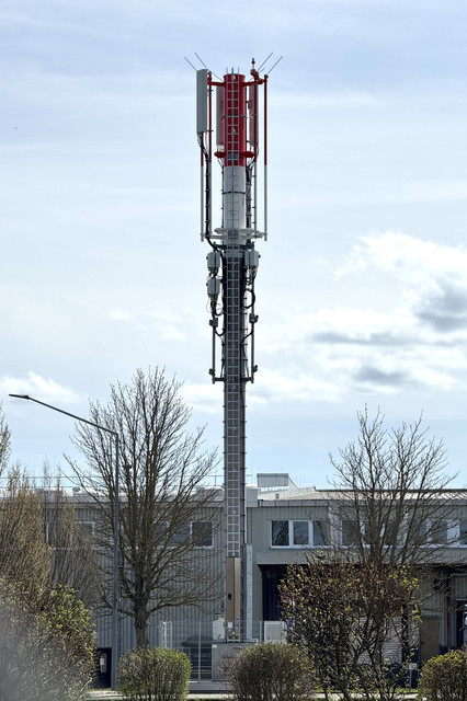 IMG 3125.jpg