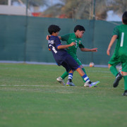 IMG 8774