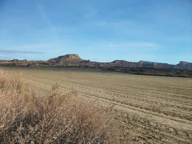 IMGP1090