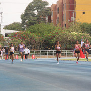 IMG-0071