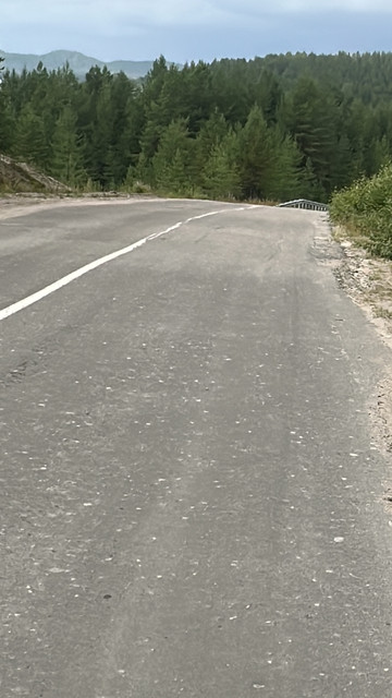 IMG 5575.jpg