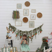 IMG-6626