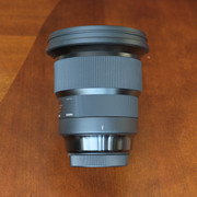 DSCF7310