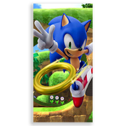 31001581-Sonic