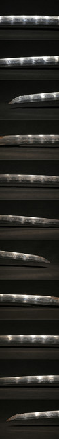DSC0232.jpg