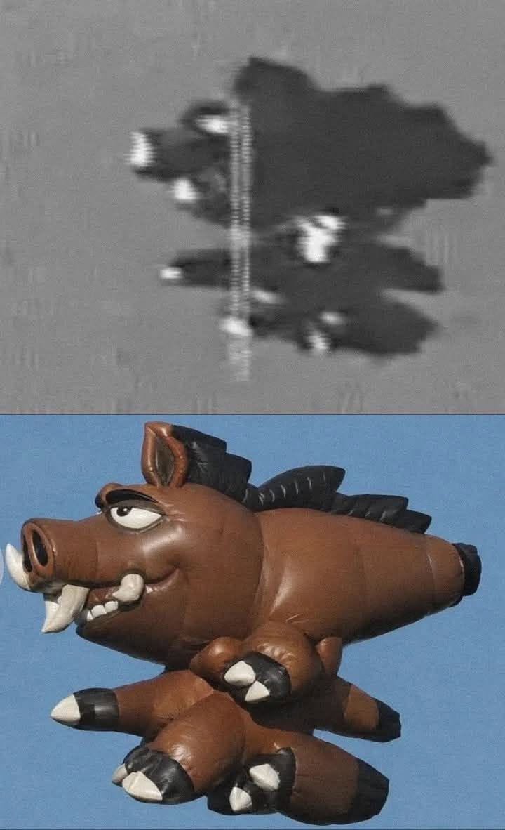 nae2.jpg