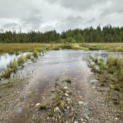 IMG 5211
