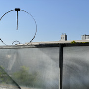 IMG-2966