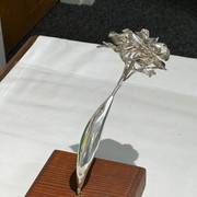 Silver Rose2022 (3)